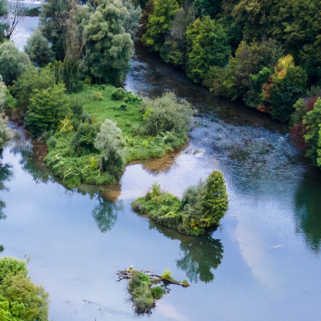 ENVIRONNEMENT